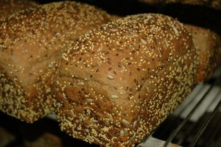 Photo of Seedy